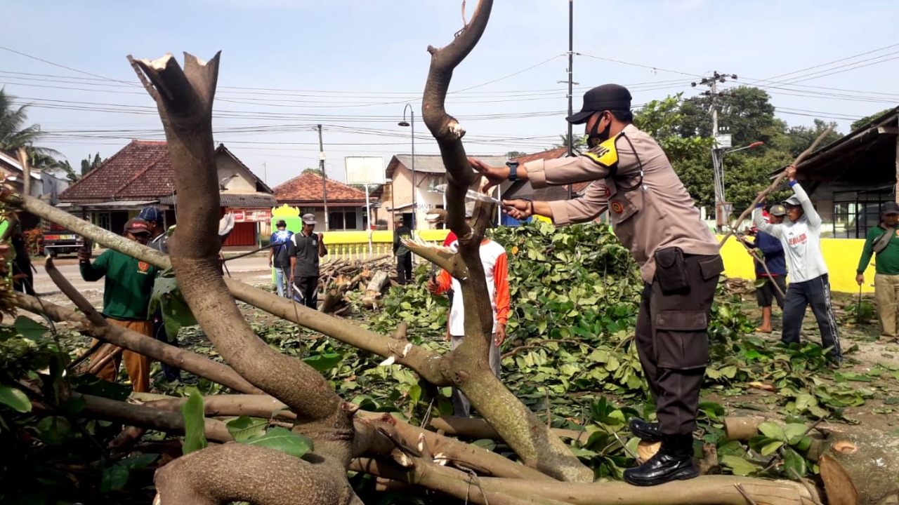 Aiptu Deddy Sukawati Bersama Warga Serta Aparatur Kampung Totokaton Melaksanakan Gotong Royong Penebangan Kayu Besar