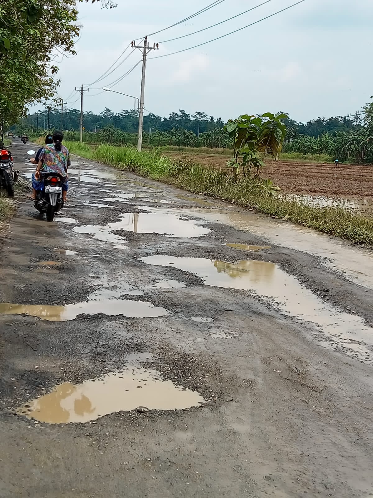 Jalan Kabupaten Desa Kemangkon Yang Terletak di Dusun (2) dan (3) Sangat Memprihatinkan