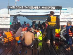 Banyak Nemo Menggemaskan, Konservasi Carita Banten Dipadati Wisatawan